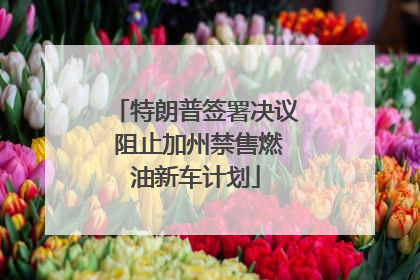 特朗普签署决议 阻止加州禁售燃油新车计划