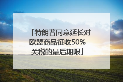 特朗普同意延长对欧盟商品征收50%关税的最后期限