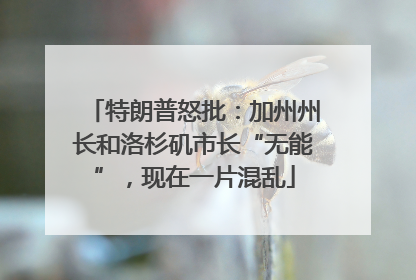 特朗普怒批：加州州长和洛杉矶市长“无能”，现在一片混乱