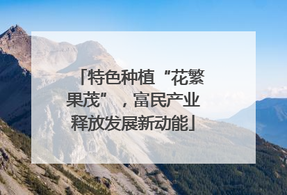 特色种植“花繁果茂”，富民产业释放发展新动能