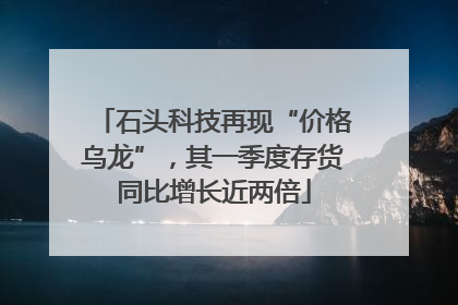 石头科技再现“价格乌龙”，其一季度存货同比增长近两倍