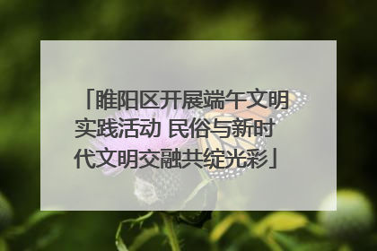 睢阳区开展端午文明实践活动 民俗与新时代文明交融共绽光彩