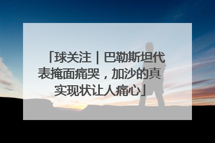 球关注｜巴勒斯坦代表掩面痛哭，加沙的真实现状让人痛心