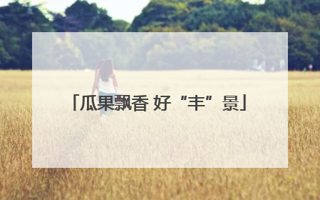 瓜果飘香 好“丰”景