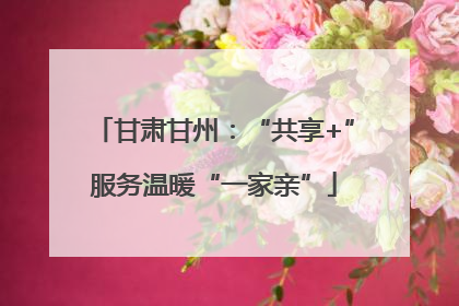 甘肃甘州：“共享+”服务温暖“一家亲”