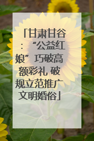 甘肃甘谷：“公益红娘”巧破高额彩礼 破规立范推广文明婚俗