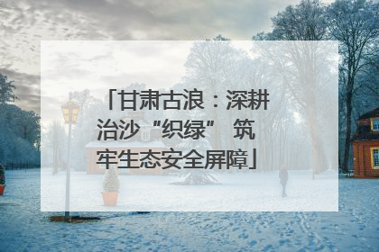 甘肃古浪：深耕治沙“织绿” 筑牢生态安全屏障