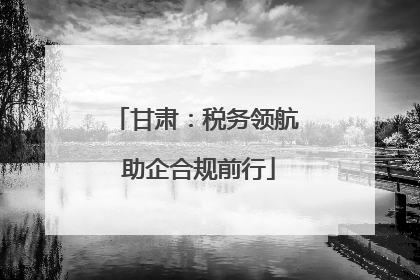 甘肃：税务领航 助企合规前行