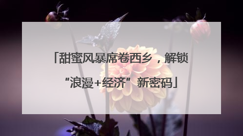 甜蜜风暴席卷西乡，解锁“浪漫+经济”新密码