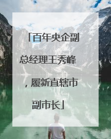 百年央企副总经理王秀峰，履新直辖市副市长
