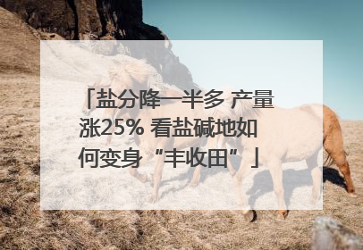 盐分降一半多 产量涨25% 看盐碱地如何变身“丰收田”