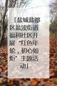 盐城盐都区盐渎街道福利社区开展“红色年轮，初心如炬”主题活动