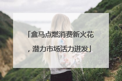盒马点燃消费新火花，潜力市场活力迸发