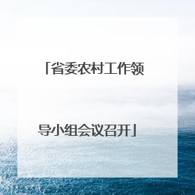 省委农村工作领导小组会议召开