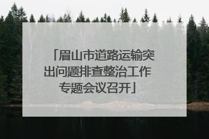 眉山市道路运输突出问题排查整治工作专题会议召开