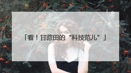 看！甘蔗田的“科技范儿”
