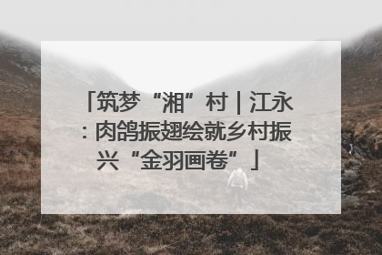 筑梦“湘”村｜江永：肉鸽振翅绘就乡村振兴“金羽画卷”