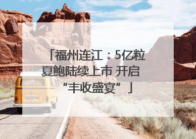 福州连江：5亿粒夏鲍陆续上市 开启“丰收盛宴”