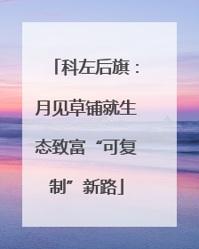 科左后旗：月见草铺就生态致富“可复制”新路