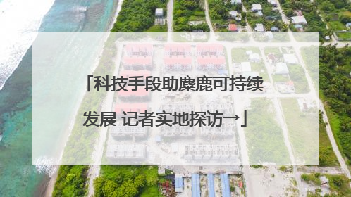 科技手段助麋鹿可持续发展 记者实地探访→