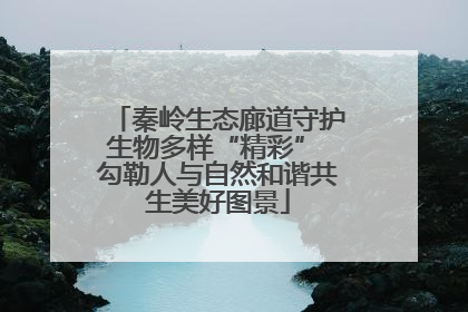 秦岭生态廊道守护生物多样“精彩” 勾勒人与自然和谐共生美好图景