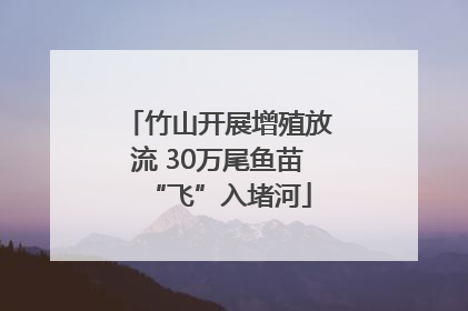 竹山开展增殖放流 30万尾鱼苗“飞”入堵河