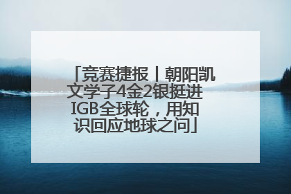 竞赛捷报丨朝阳凯文学子4金2银挺进IGB全球轮，用知识回应地球之问