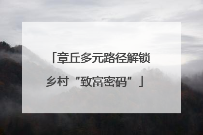 章丘多元路径解锁乡村“致富密码”