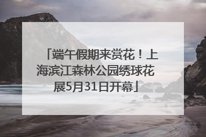 端午假期来赏花！上海滨江森林公园绣球花展5月31日开幕