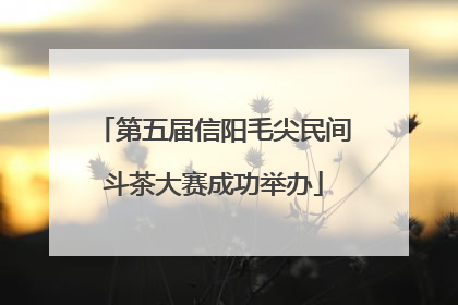 第五届信阳毛尖民间斗茶大赛成功举办