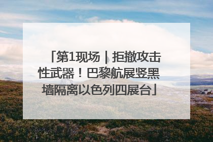 第1现场｜拒撤攻击性武器！巴黎航展竖黑墙隔离以色列四展台