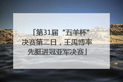 第31届“五羊杯”决赛第二日，王禹博率先挺进冠亚军决赛