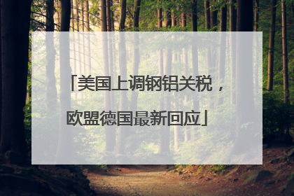 美国上调钢铝关税，欧盟德国最新回应