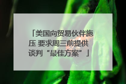 美国向贸易伙伴施压 要求周三前提供谈判“最佳方案”