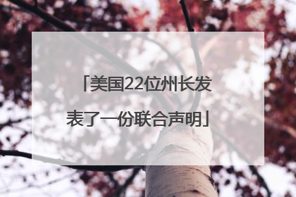 美国22位州长发表了一份联合声明