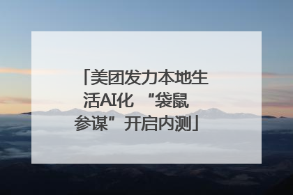 美团发力本地生活AI化 “袋鼠参谋”开启内测
