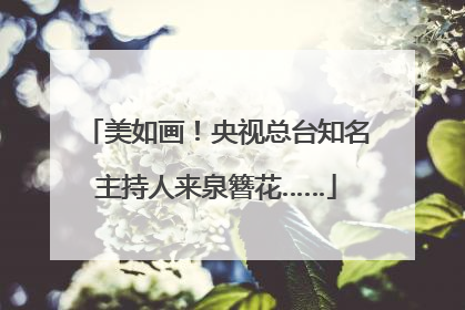 美如画！央视总台知名主持人来泉簪花……