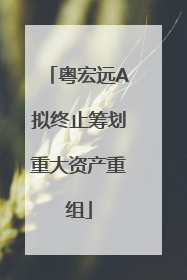 粤宏远A拟终止筹划重大资产重组