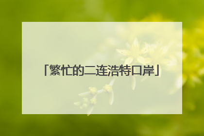繁忙的二连浩特口岸
