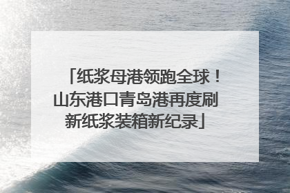 纸浆母港领跑全球！山东港口青岛港再度刷新纸浆装箱新纪录