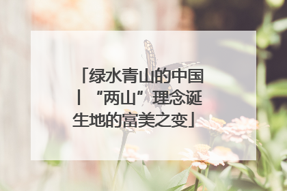绿水青山的中国丨“两山”理念诞生地的富美之变