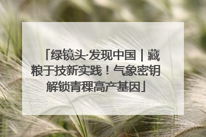 绿镜头·发现中国｜藏粮于技新实践！气象密钥解锁青稞高产基因
