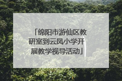 绵阳市游仙区教研室到云凤小学开展教学视导活动