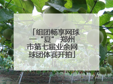 组团畅享网球一“夏” 郑州市第七届业余网球团体赛开拍