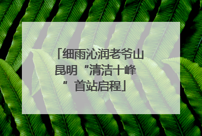 细雨沁润老爷山 昆明“清洁十峰”首站启程