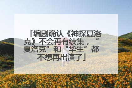 编剧确认《神探夏洛克》不会再有续集，“夏洛克”和“华生”都不想再出演了
