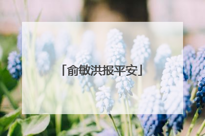 俞敏洪报平安