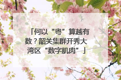 何以“粤”算越有数？韶关集群开秀大湾区“数字肌肉”