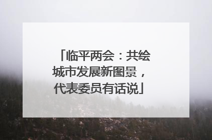 临平两会：共绘城市发展新图景，代表委员有话说
