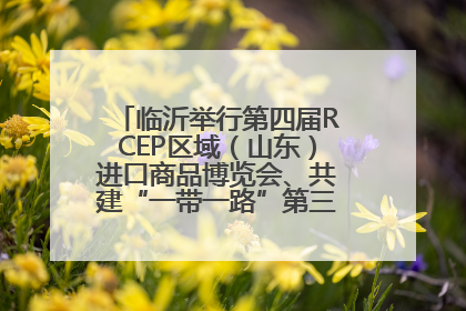 临沂举行第四届RCEP区域（山东）进口商品博览会、共建“一带一路”第三届临沂商城国际采购商大会新闻发布会